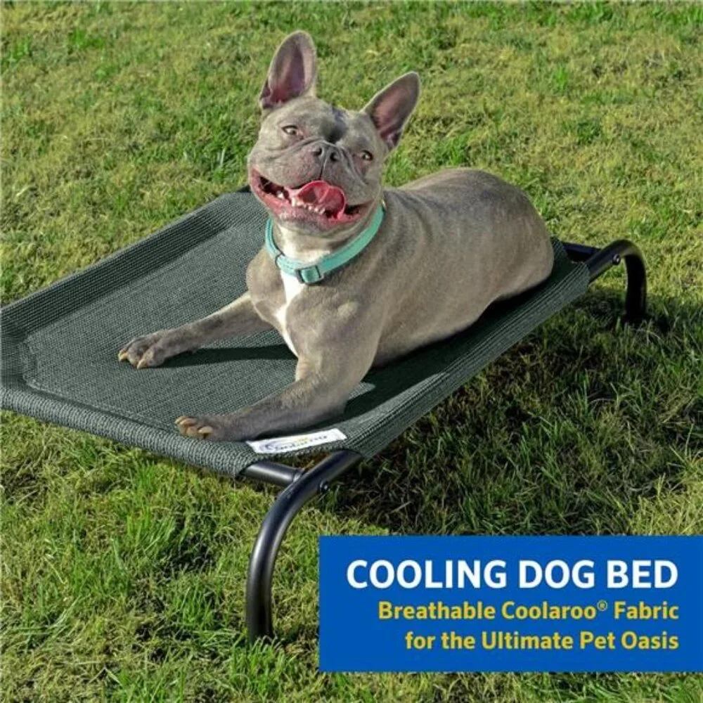 Cooling Elevated Dog Bed, Indoor and Outdoor,Large,Brunswick Green,51.00